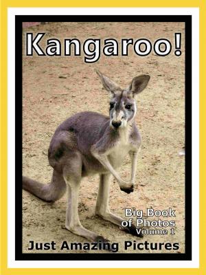 Book cover of Just Kangaroo Photos! Big Book of Photographs & Pictures of Kangaroos, Vol. 1