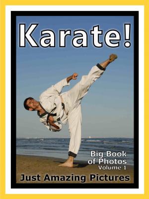 Cover of Just Karate Sport Photos! Big Book of Photographs & Pictures of Sports Karate Martial Arts, Vol. 1