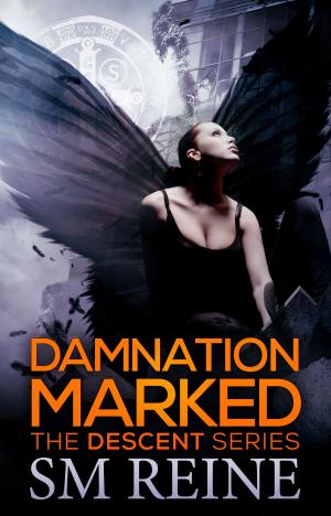 Cover of the book Damnation Marked by D.T. Williams