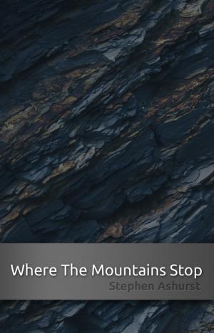 Cover of the book Where The Mountains Stop by Daniel Ferguson