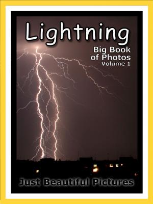 Book cover of Just Lightning Photos! Big Book of Photographs & Pictures of Lightning, Vol. 1