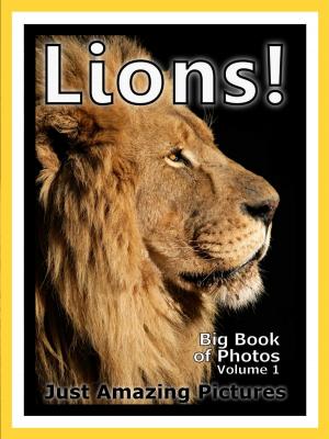 Book cover of Just Lion Photos! Big Book of Photographs & Pictures of Lions, King of the Jungle Animals, Vol. 1