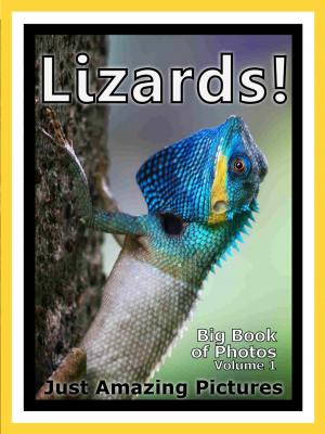 Book cover of Just Lizard Reptile Photos! Big Book of Photographs & Pictures of Lizards Reptiles, Vol. 1