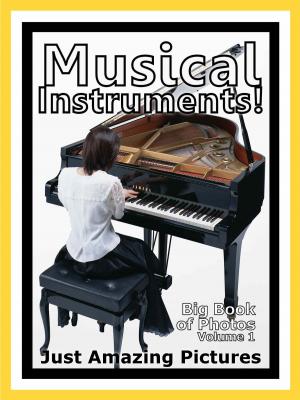 Book cover of Just Musical Instrument Photos! Big Book of Photographs & Pictures of Musical Instruments, Vol. 1