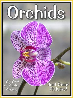 Book cover of Just Orchid Photos! Big Book of Photographs & Pictures of Orchids, Vol. 1