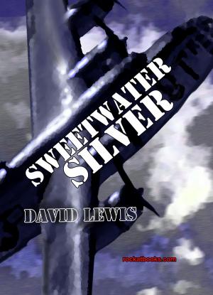 bigCover of the book SWEETWATER SILVER by 