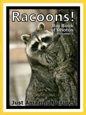 Book cover of Just Racoon Photos! Big Book of Photographs & Pictures of Racoons Vol. 1