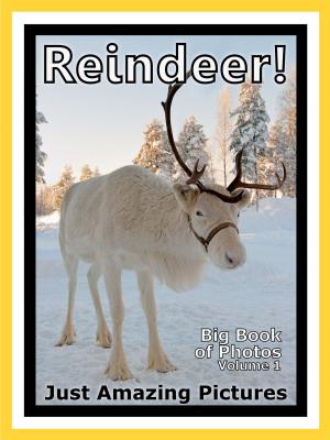 Cover of Just Reindeer Photos! Big Book of Photographs & Pictures of Santa Claus Christmas Reindeer, Vol. 1