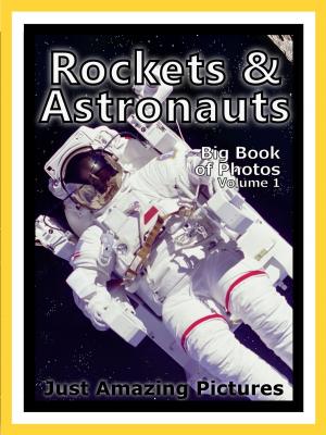 Book cover of Just Rocket & Astronaut Photos! Big Book of Photographs & Pictures of Rockets, Astronauts, and Spaceships, Vol. 1