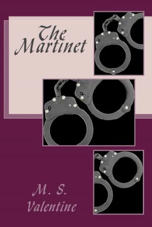 Cover of the book The Martinet by Bro Biggly