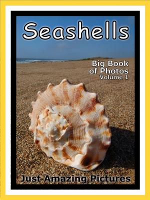 Cover of Just Seashell Photos! Big Book of Photographs & Pictures of Ocean Seashells, Vol. 1