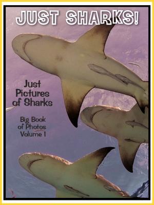 Book cover of Just Shark Photos! Big Book of Shark Photographs & Pictures, Vol. 1