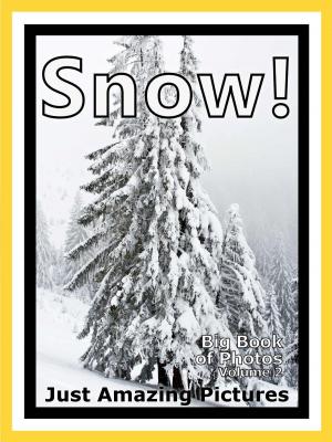 Book cover of Just Snow Photos! Big Book of Photographs & Pictures of Snow, Vol. 2