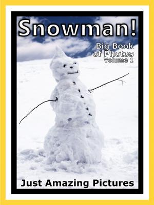 Book cover of Just Snowman Photos! Big Book of Photographs & Snow Pictures of Snowmen, Vol. 1