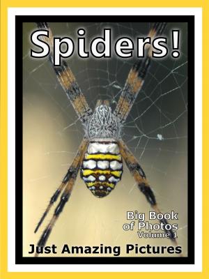Book cover of Just Spider Photos! Big Book of Photographs & Pictures of Spiders, Vol. 1