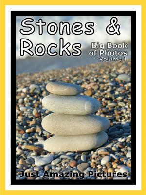 Book cover of Just Stone & Rock Photos! Big Book of Photographs & Pictures of Rocks & Stones, Vol. 1