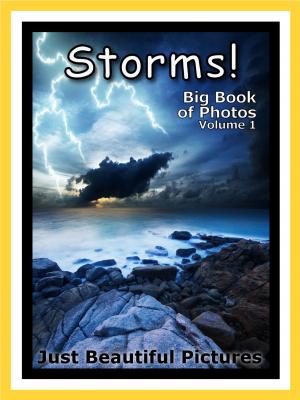 Book cover of Just Storm Photos! Big Book of Photographs & Pictures of Storms, Vol. 1