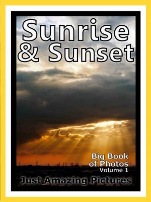 Book cover of Just Sunrise & Sunset Photos! Big Book of Photographs & Pictures of Sunrises and Sunsets, Vol. 1