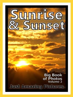 Book cover of Just Sunrise & Sunset Photos! Big Book of Photographs & Pictures of Sunrises and Sunsets, Vol. 2
