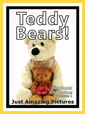 Cover of the book Just Teddy Bear Photos! Big Book of Photographs & Pictures of Teddy Bears, Vol. 1 by Kimberly A Bettes