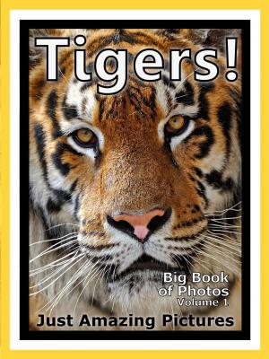 Book cover of Just Tiger Photos! Big Book of Photographs & Pictures of Tigers, Vol. 1