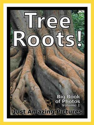 Cover of the book Just Tree Root Photos! Big Book of Photographs & Pictures of Tree Roots, Vol. 1 by Dwayne Haskell