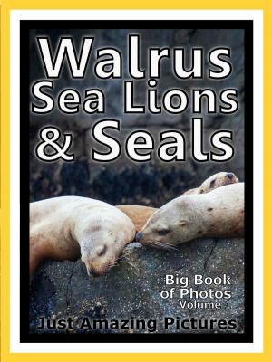 Book cover of Just Walrus, Seal, and Sea Lion Photos! Big Book of Photographs & Pictures of Walruses, Seals, and Sea Lions, Vol. 1