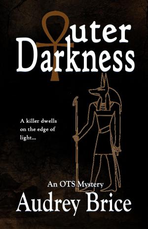 Cover of the book Outer Darkness by Anne O'Connell