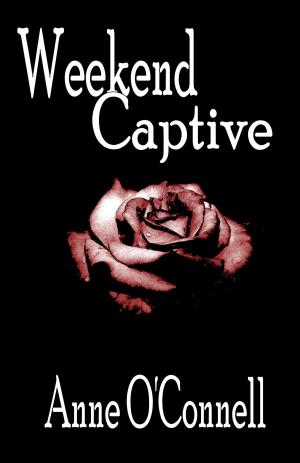 Cover of the book Weekend Captive by Audrey Brice