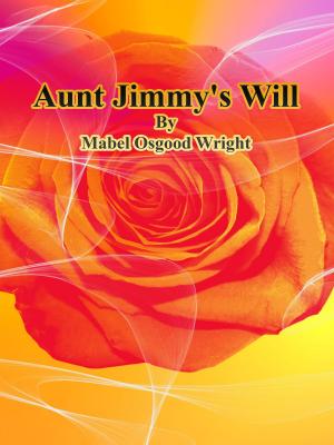 Cover of the book Aunt Jimmy's Will by Elinor Glyn