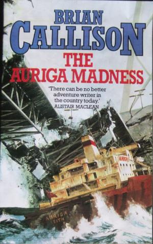 bigCover of the book THE AURIGA MADNESS by 