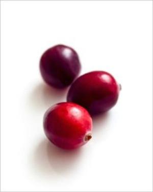 Cover of the book How to Grow Cranberries by Aden Meier