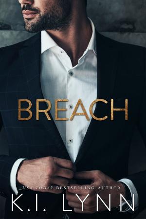 Cover of the book Breach by Richelle E. Goodrich
