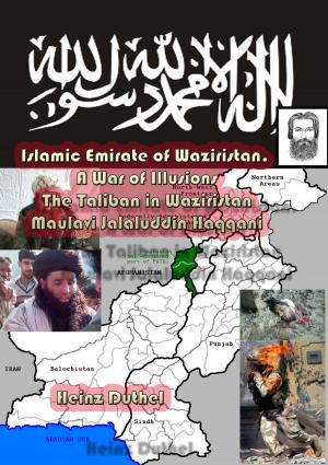 Cover of the book Islamic Emirate of Waziristan. A War of Illusions by David Ogbueli