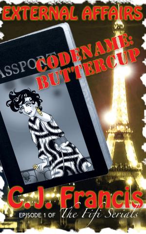 Cover of the book External Affairs: Code name Buttercup by Kaia Bennett