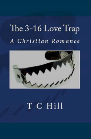 Cover of the book The 3-16 Love Trap by Kay Berger