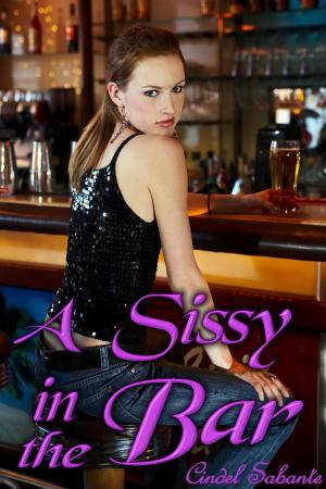 bigCover of the book A Sissy in the Bar by 