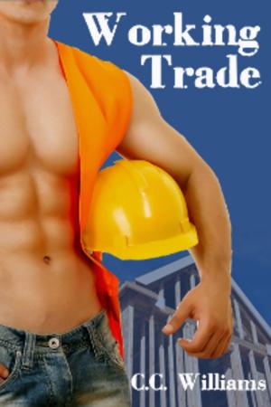 Cover of the book Working Trade by C.C. Williams