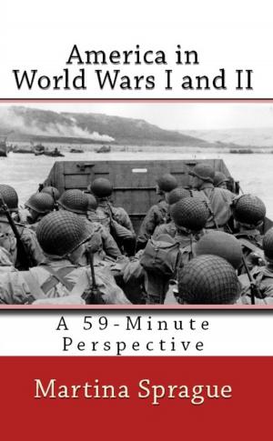 Book cover of America in World Wars I and II