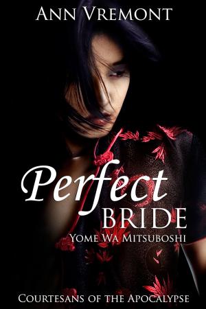Book cover of Perfect Bride