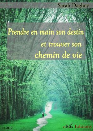 Cover of the book Prendre en main son destin by Daghey Sarah