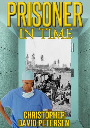 Cover of the book Prisoner in Time by Venla Mäkelä
