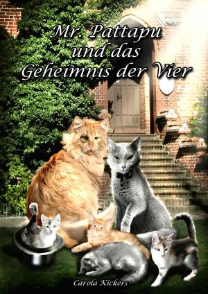 Cover of the book Mr. Pattapu und das Geheimnis der Vier by Carola Kickers