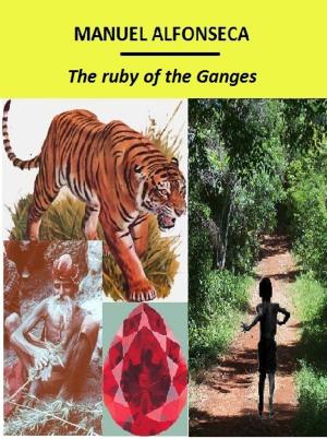 Book cover of The ruby of the Ganges