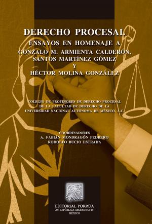 bigCover of the book Derecho procesal: Ensayos en homenaje a Gonzalo M. Armienta Calderón, Santos Martínez Gómez y Héctor Molina González by 
