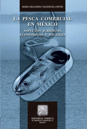 Cover of the book La pesca comercial en México: Aspectos jurídicos, económicos y sociales by Lorena Pérez-Jácome Friscione