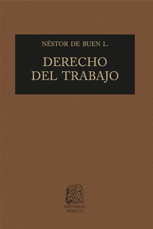 Cover of the book Derecho del trabajo 1 by Eduardo García Máynez