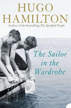 Book cover of The Sailor in the Wardrobe