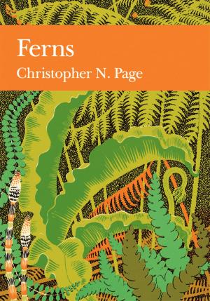 Book cover of Ferns (Collins New Naturalist Library, Book 74)
