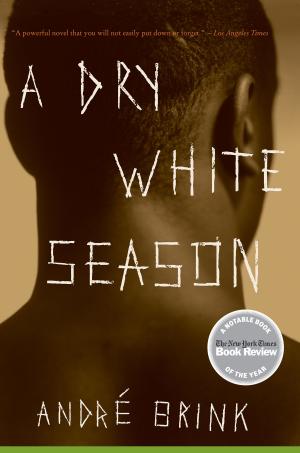 Cover of the book A Dry White Season by Sarah Creech